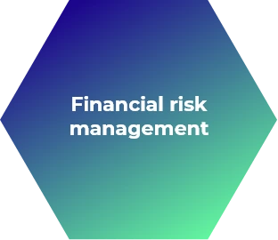 Financial risk management 