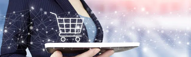 Risk Management Services for E-Commerce and Retail Sector
