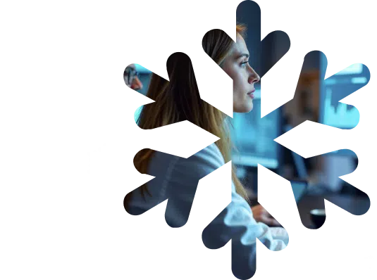 Snowflake Consulting and Implementation