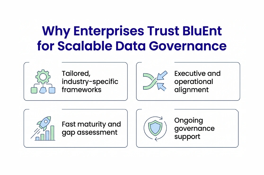 BluEnt for Enterprise Data Governance Consulting Services