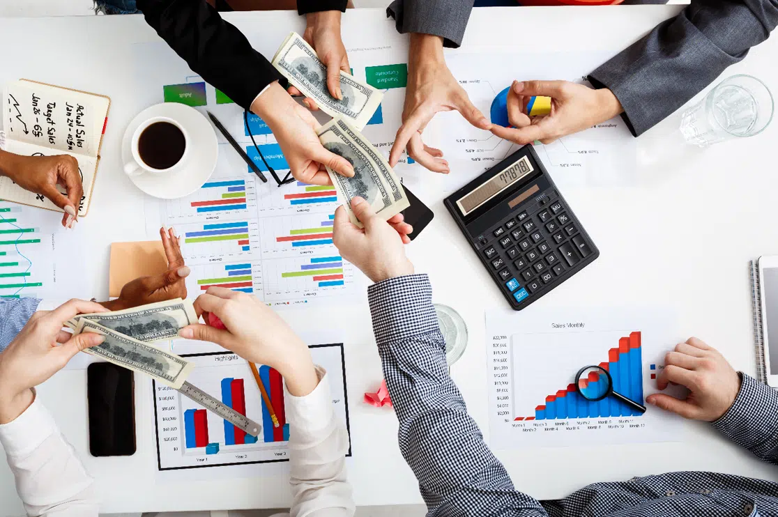 Financial and Accounting Services Offered by BluEnt