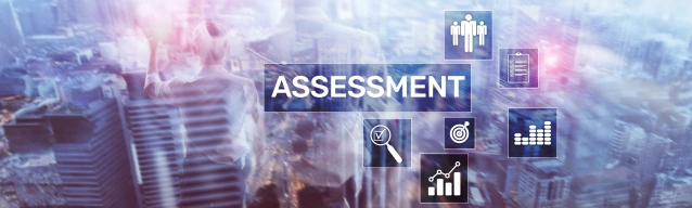 Data Governance Maturity Assessment