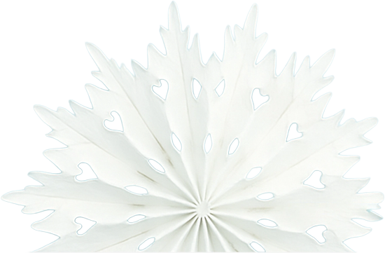 Snowflake Consulting Services